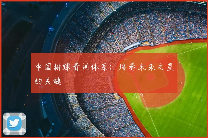 中国排球青训体系:培养未来之星的关键